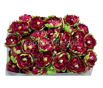 Red Peony Buds