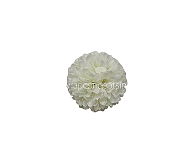 Carnation - White