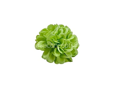 Lime Carnation Lime Carnation