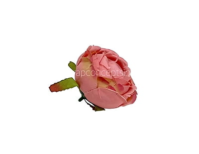 Flamingo Peony