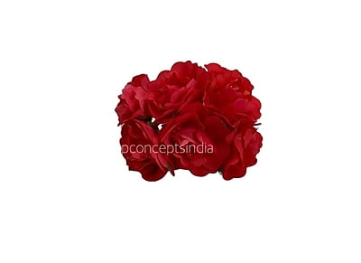 Scarlet Rose on Stick