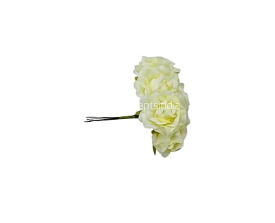 Cream Small Roses