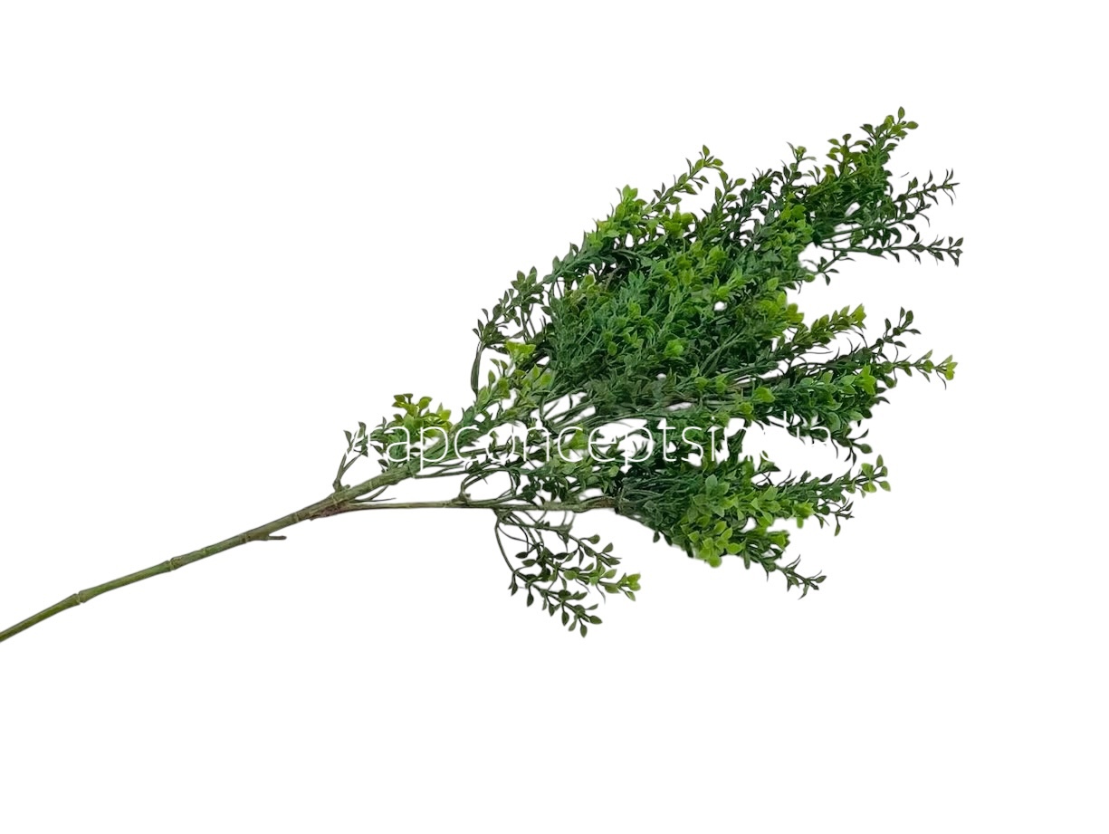 Long Wild Fern Bunch