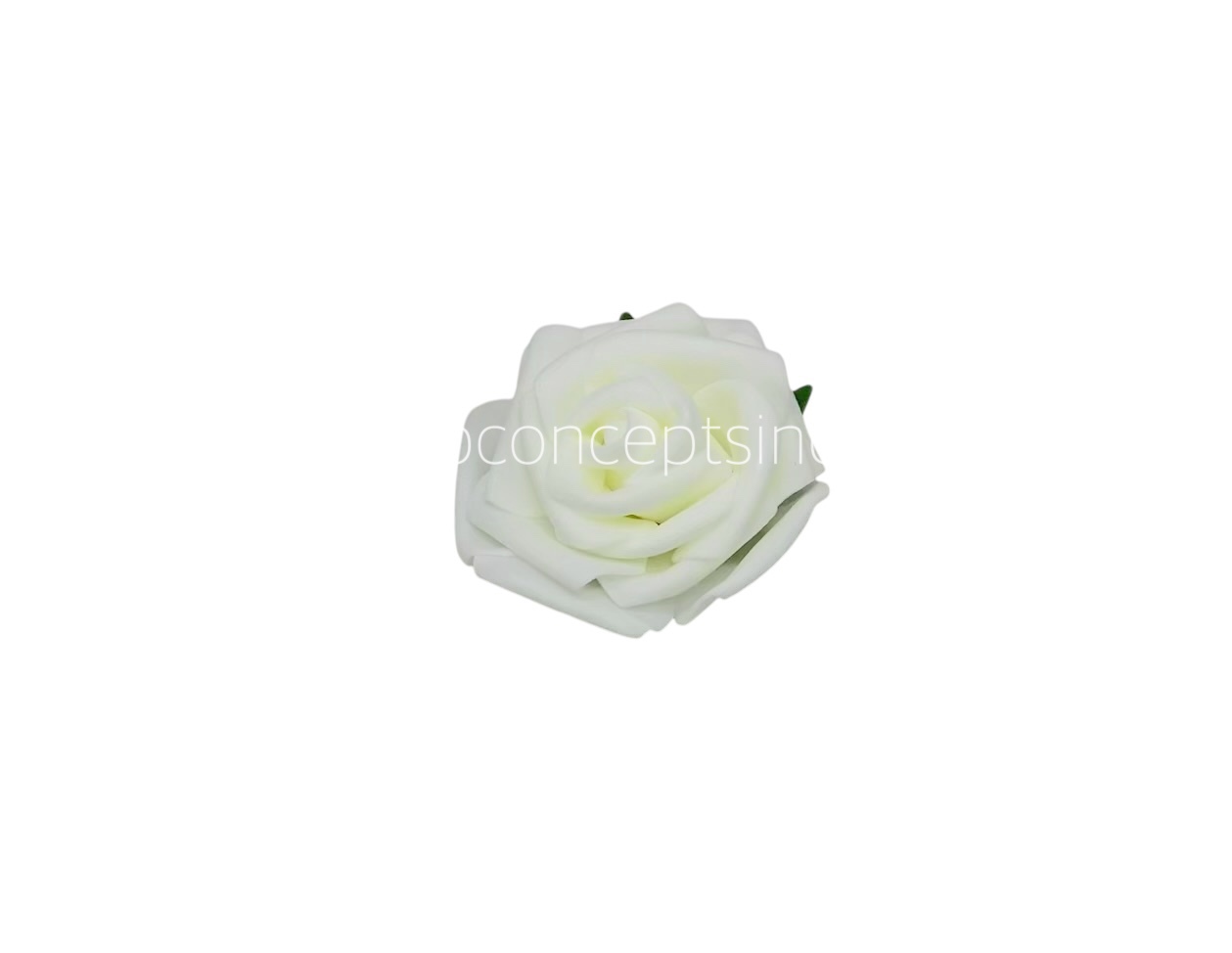 Ivory Medium Foam Rose Ivory Medium Foam Rose