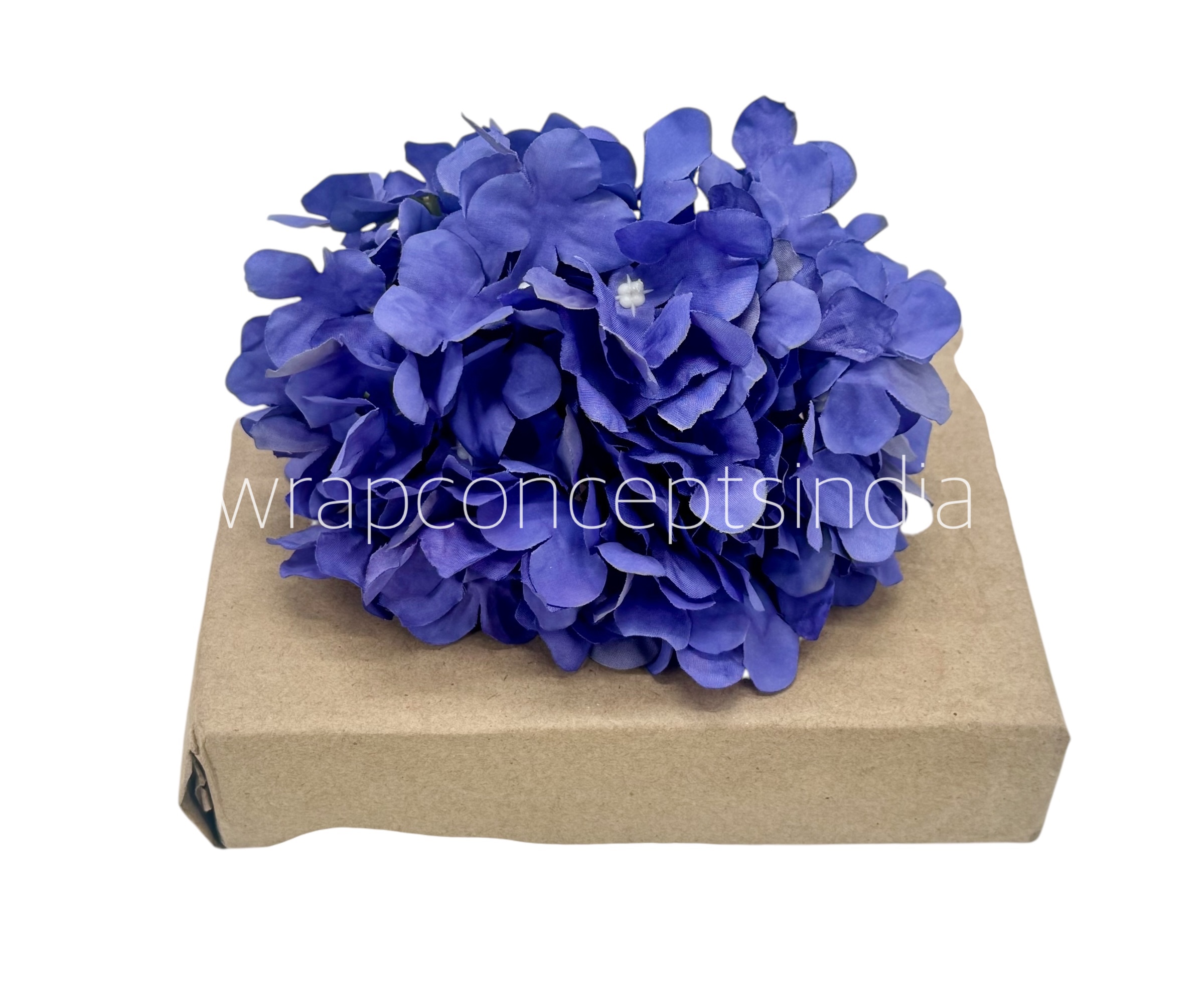 Royal Purple Hydrangeas Royal Purple Hydrangeas