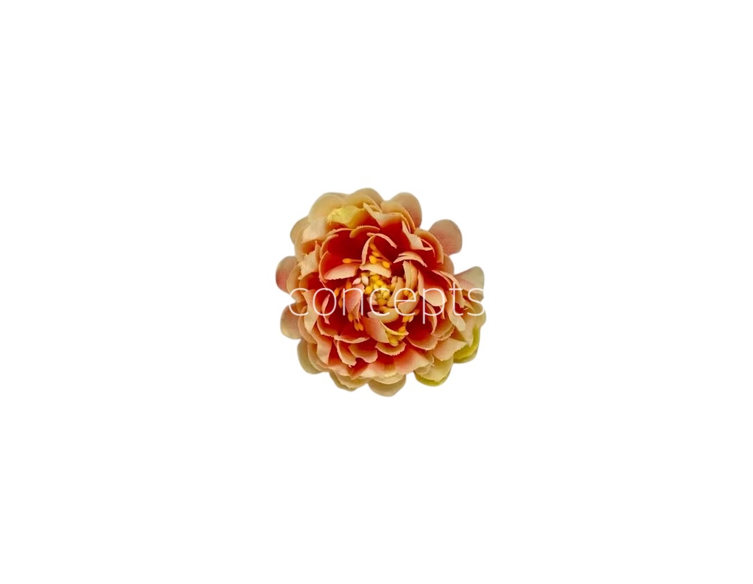 Peach with Lemon Small Dahlias Peach with Lemon Small Dahlias