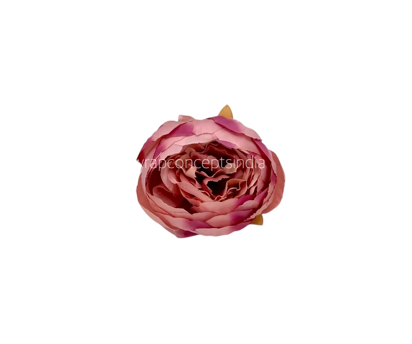 Peony - Flamingo Peony - Flamingo