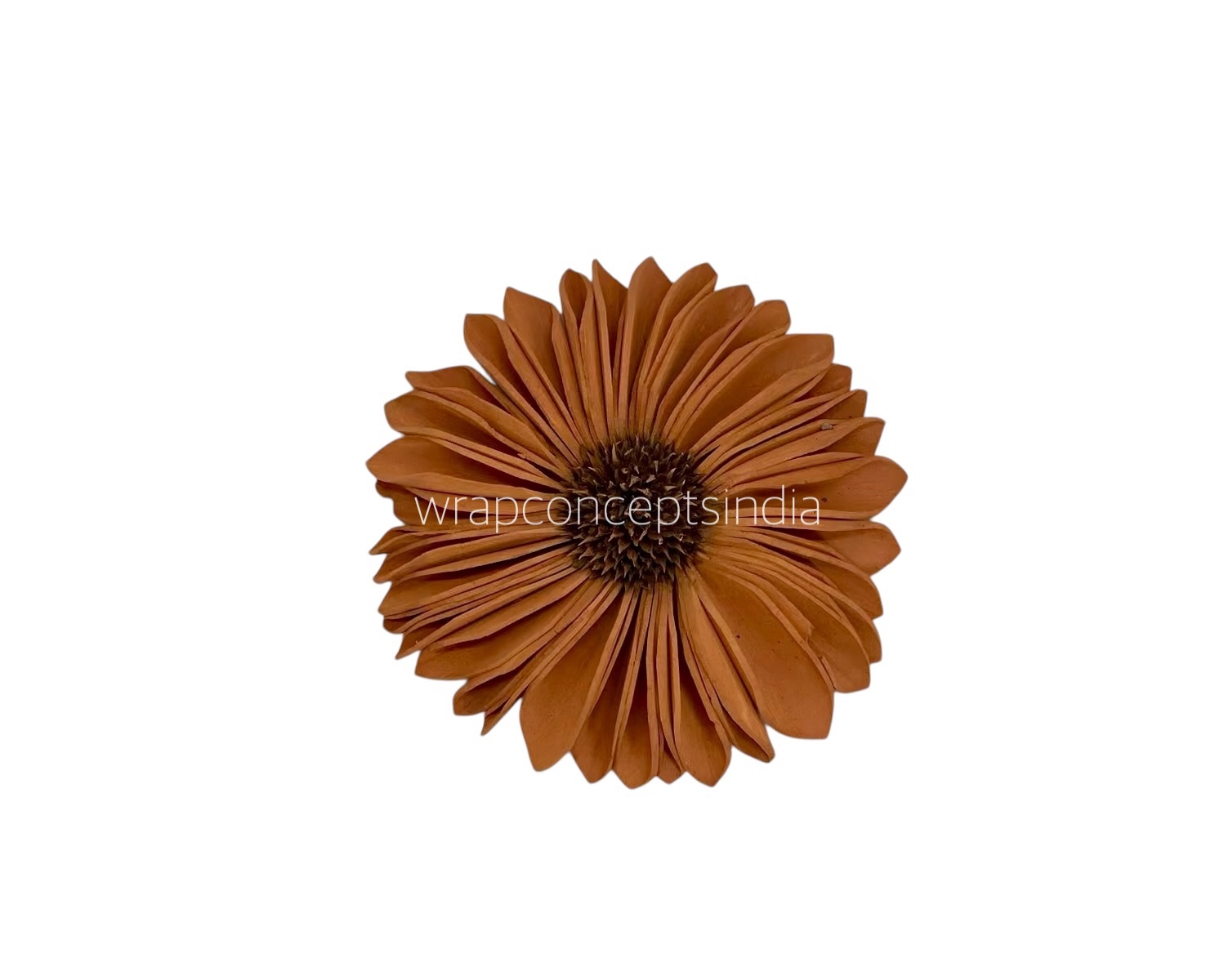 Rust Sola Wood Gerberas Rust Sola Wood Gerberas