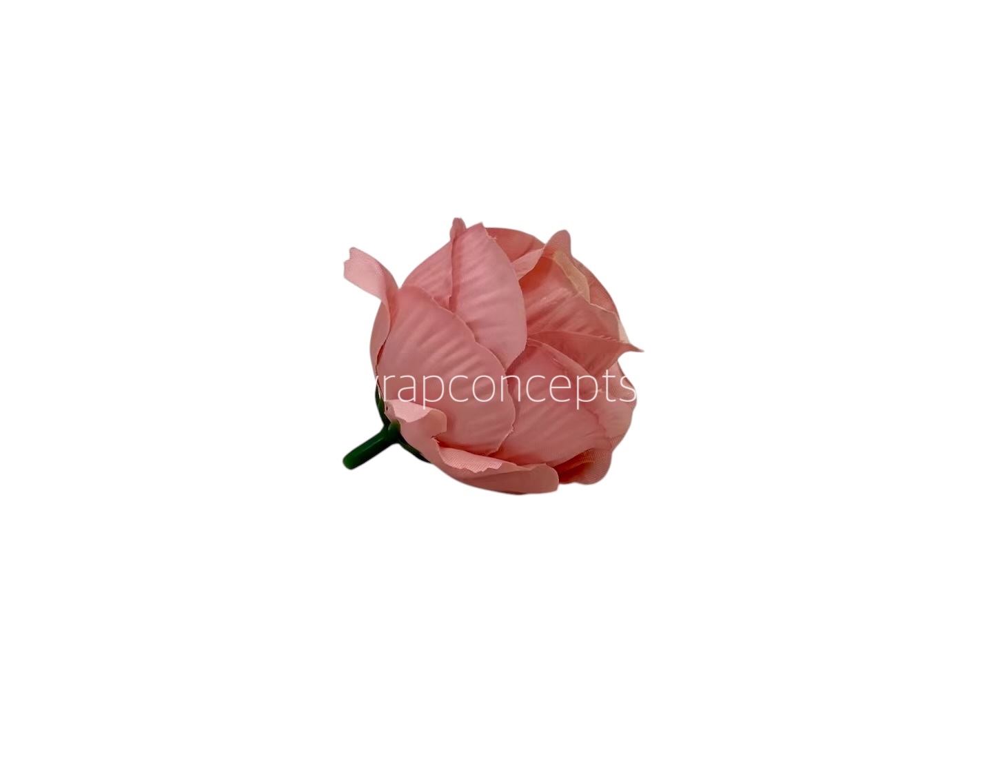 Peach with Cream Rose Buds Peach with Cream Rose Buds