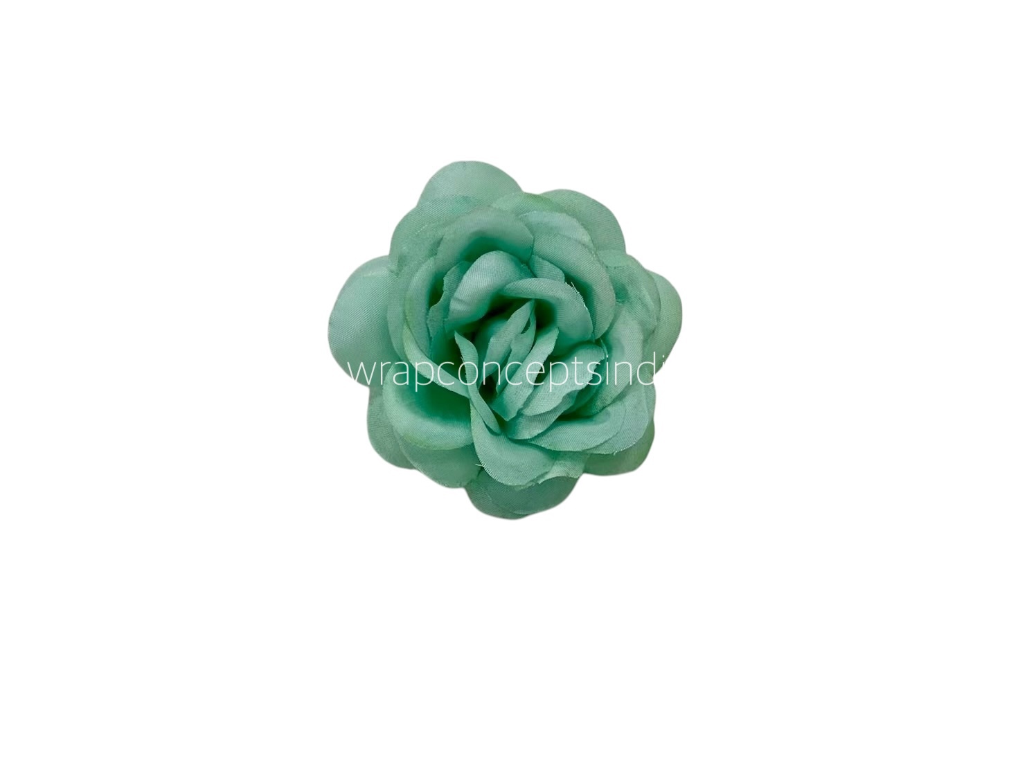 Mint Shrub Rose