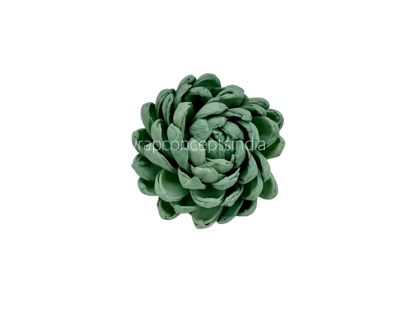 Seafoam Sola Wood Lillian