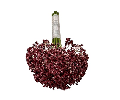 Baby Breath's Bunch Baby Breath's Bunch