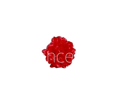Small Carnation - Fuchsia Pink Small Carnation - Fuchsia Pink