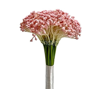 Baby Breath's Bunch