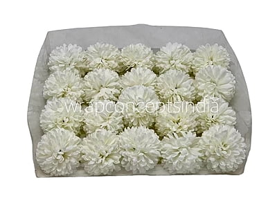 Carnation - White