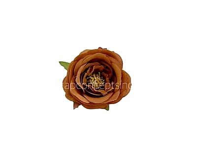 Caramel Camellia Flower
