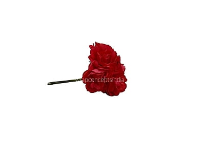 Scarlet Rose on Stick