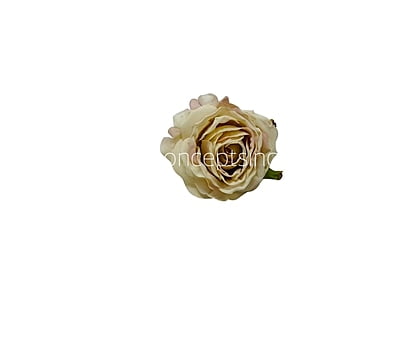 Ecru Small Roses