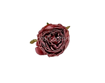 Dusky Rose Buds on Stick