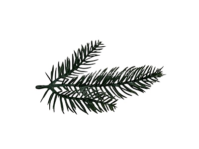 Dark Trio Pine Tree Leaves