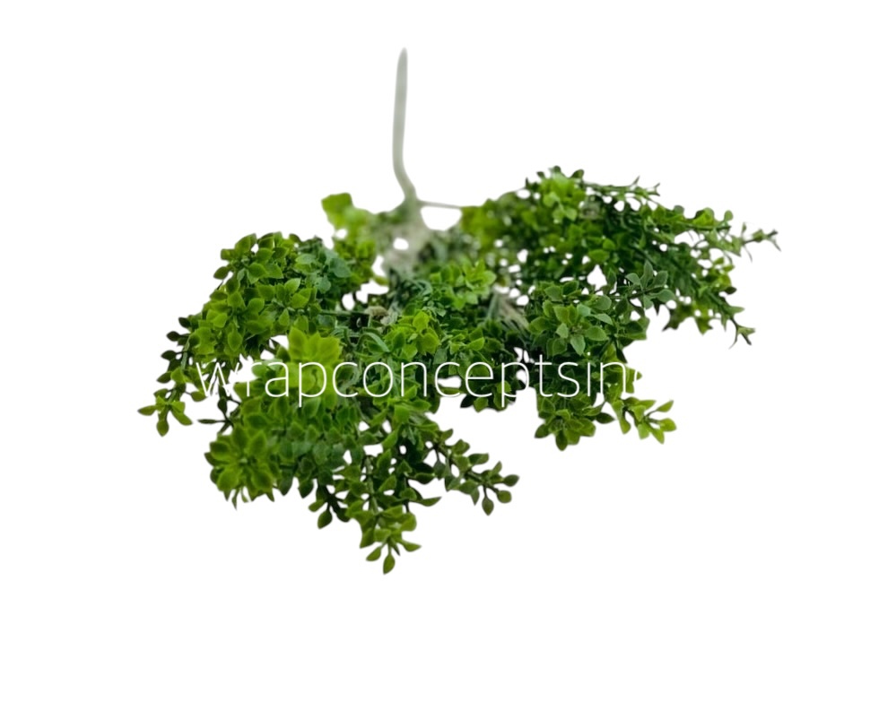 Long Wild Fern Bunch