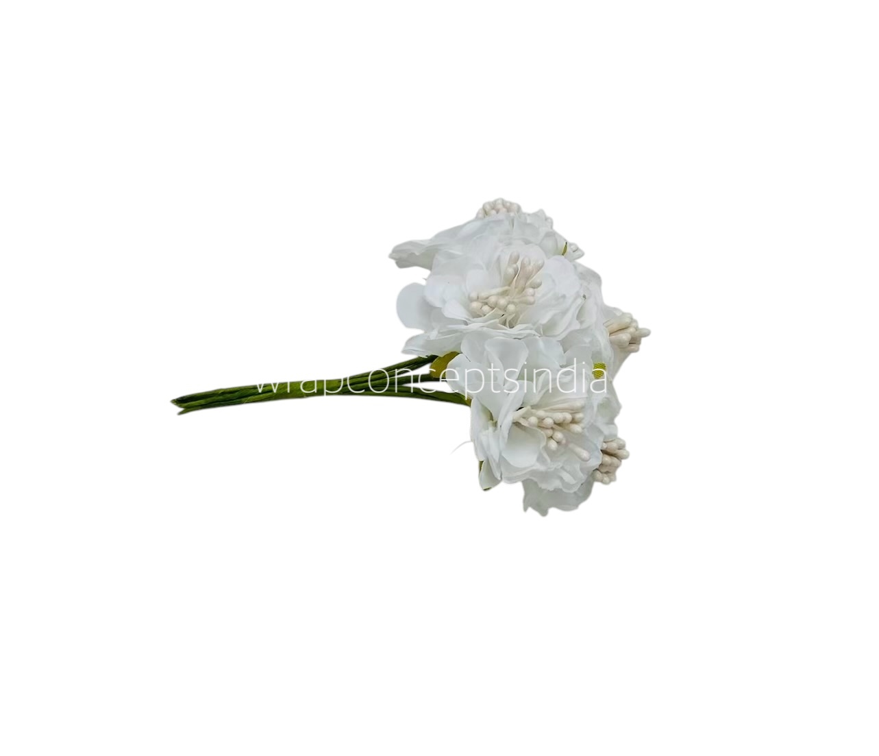 White Windflower
