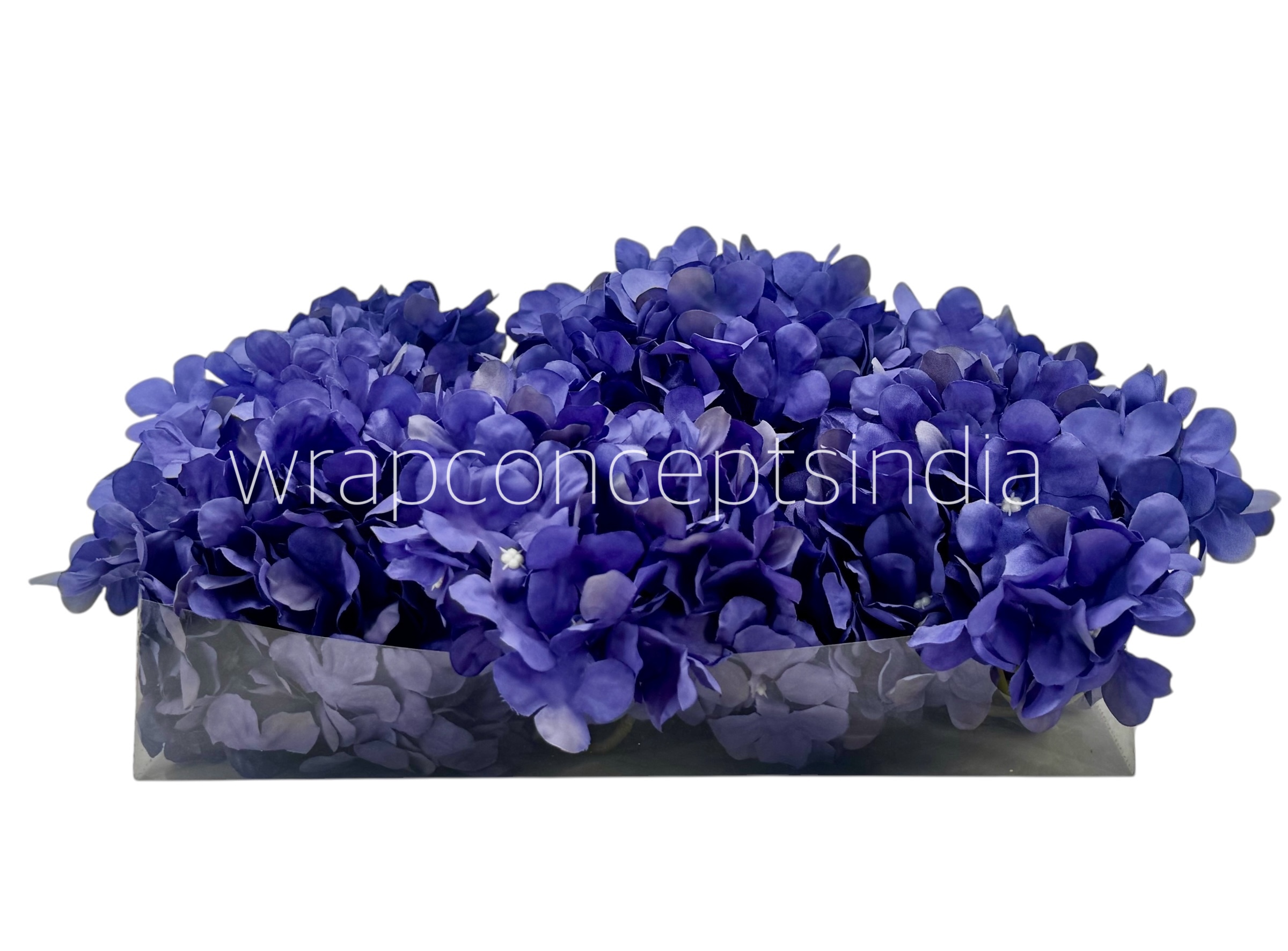 Royal Purple Hydrangeas Royal Purple Hydrangeas