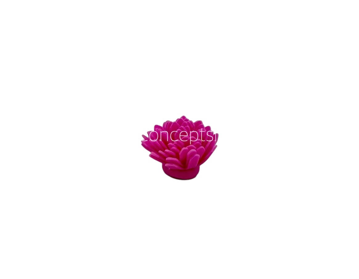 Dark Pink Foam Carnation Dark Pink Foam Carnation