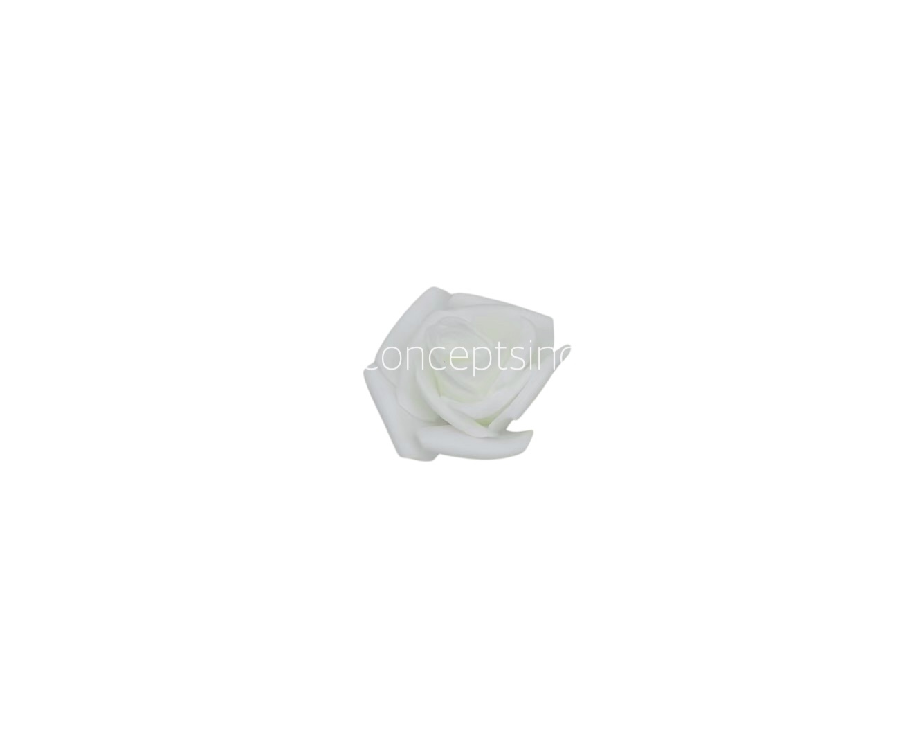 White Medium Foam Rose White Medium Foam Rose