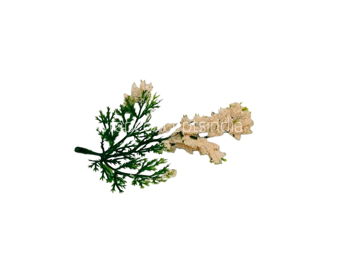 Green Fern Leaves with Lt. PeachEdges