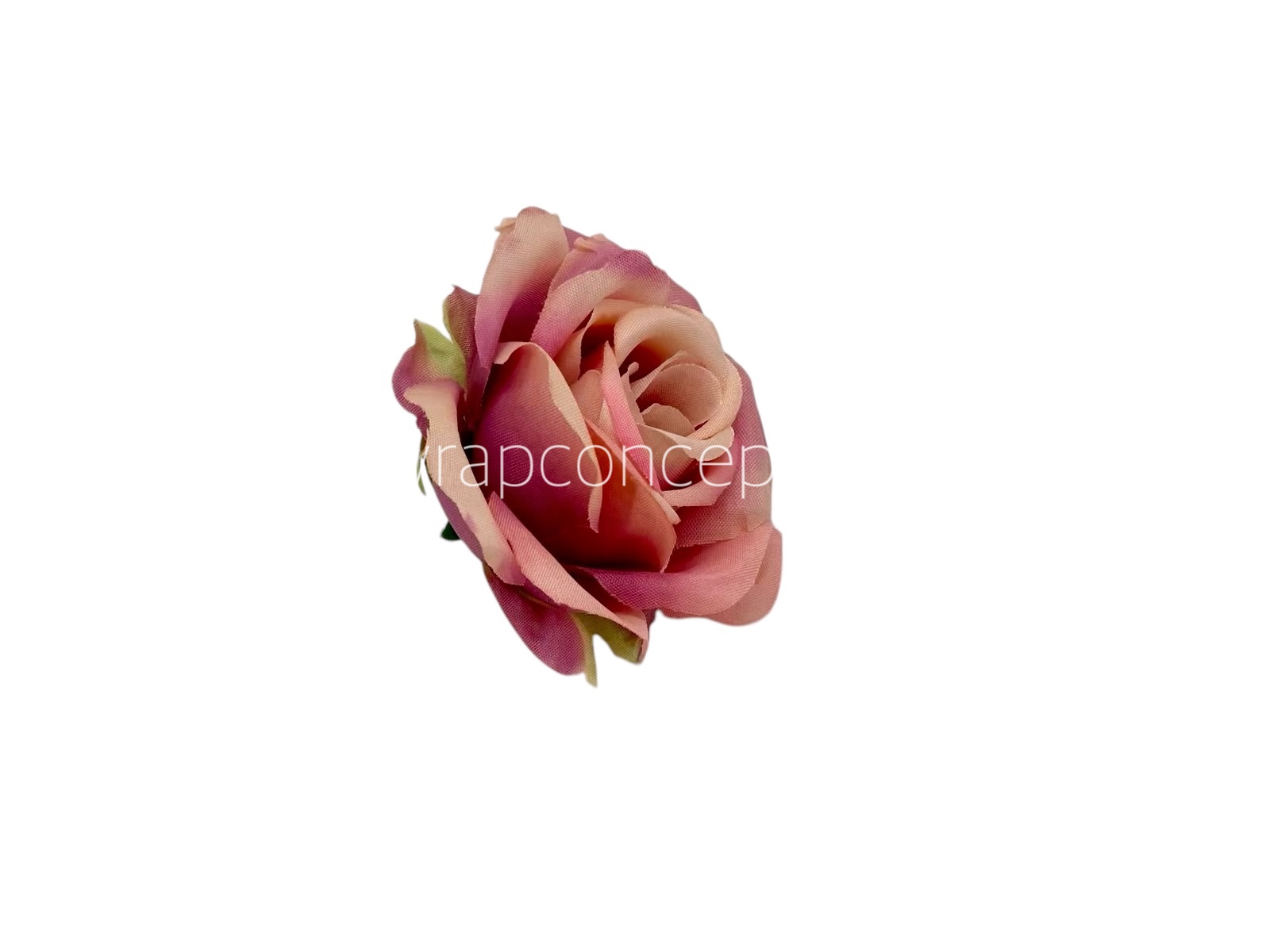 Rose Small – Nude with hints of Magenta