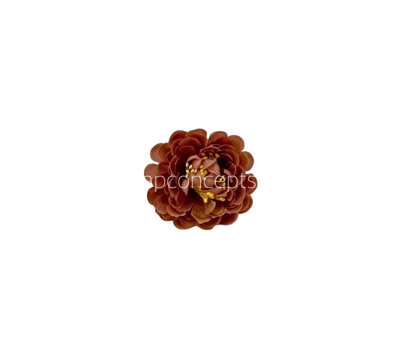 Cherry Wood Small Dahlia Cherry Wood Small Dahlia