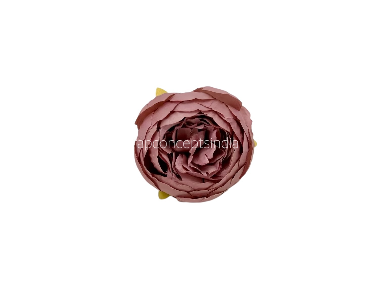 Peony - Dusky Mauve Peony - Dusky Mauve