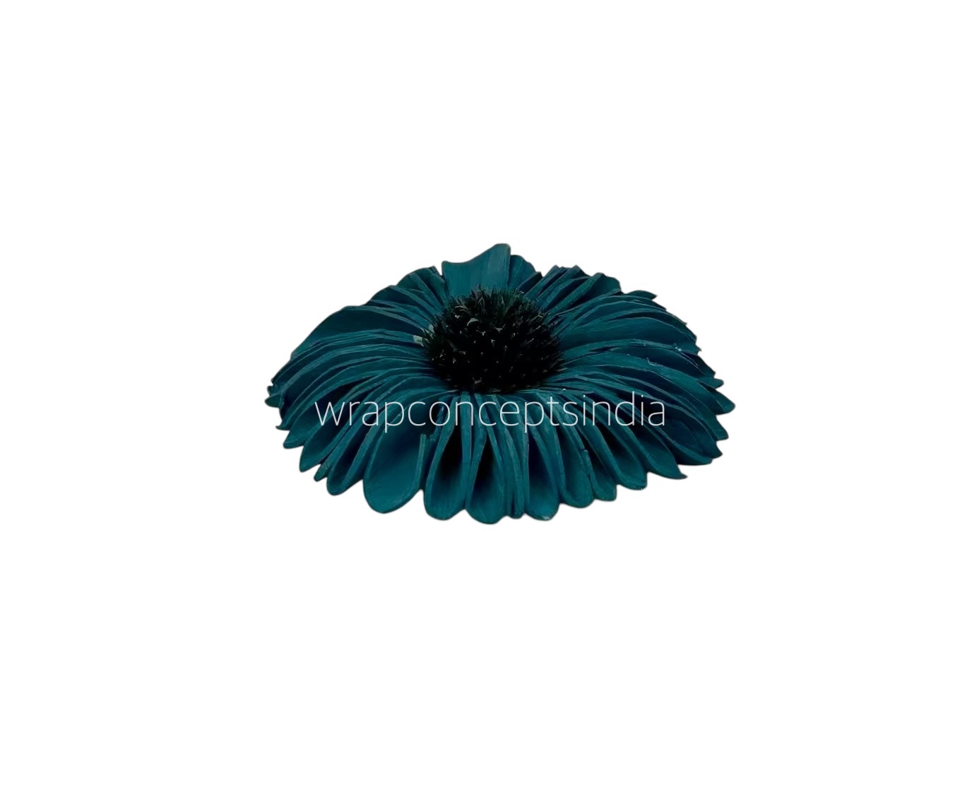 Teal Sola Wood Gerberas Teal Sola Wood Gerberas