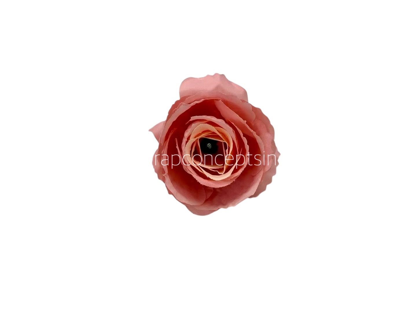 Peach with Cream Rose Buds Peach with Cream Rose Buds