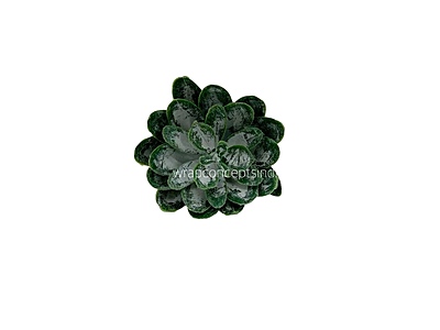 Faux Succulent - Dark Green Faux Succulent - Dark Green