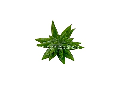Faux Star Succulent - Light Green Faux Star Succulent - Light Green