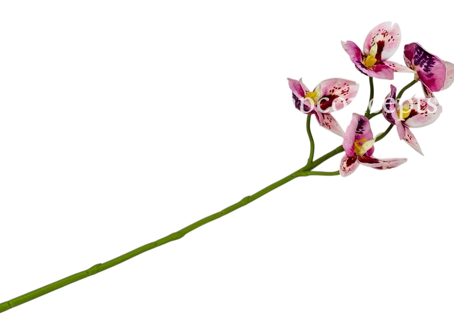Orchid Sticks - Multicolor Orchid Sticks - Multicolor