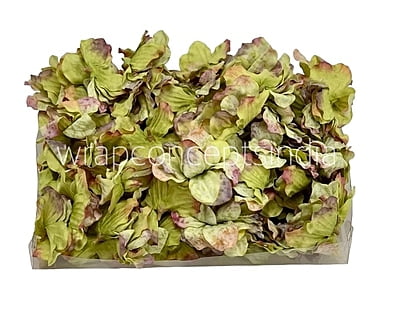 Moss Green Shaded Petunias