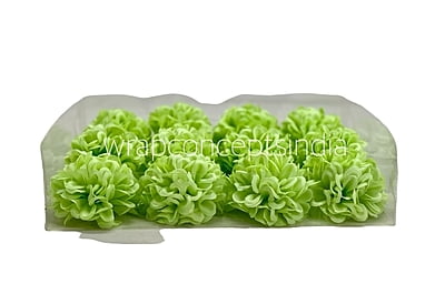 Lime Carnation Lime Carnation