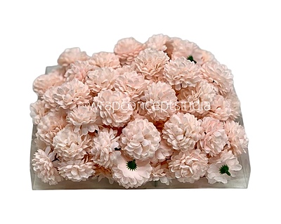 Small Carnation - Soft Peach