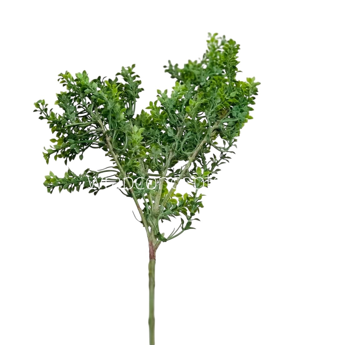 Long Wild Fern Bunch
