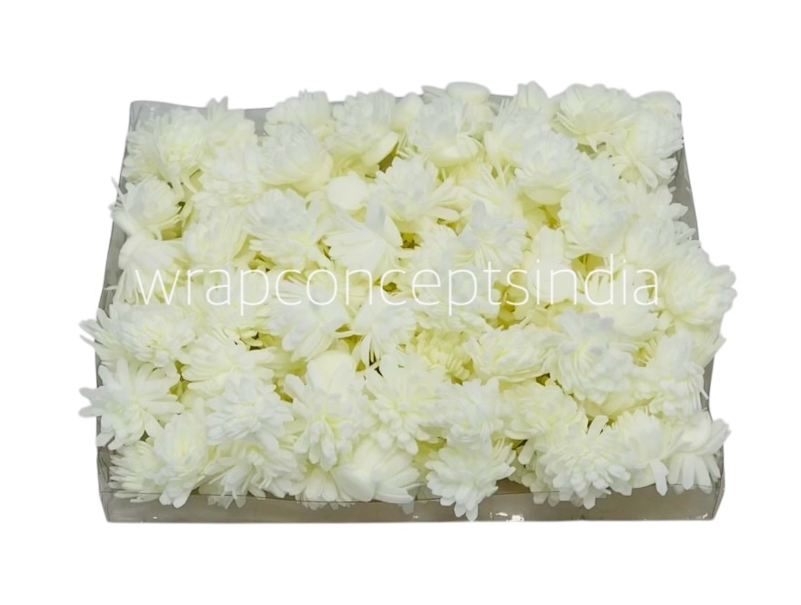 Cream Foam Carnation