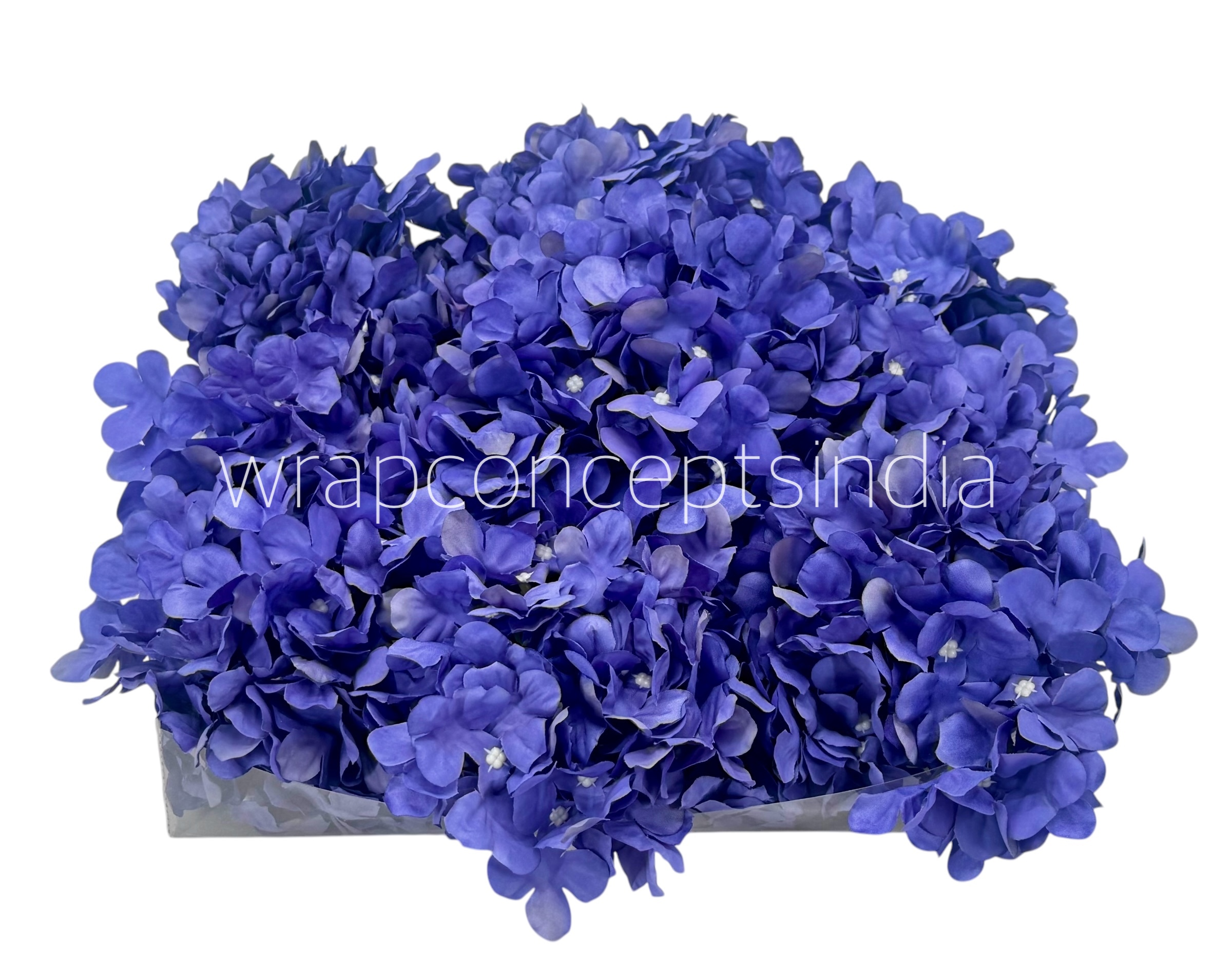 Royal Purple Hydrangeas Royal Purple Hydrangeas