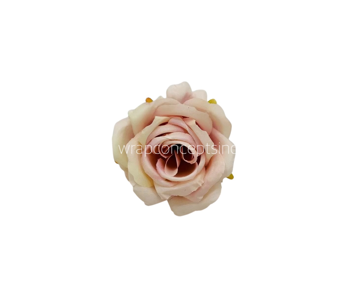 Rose - Nude with Blush