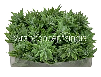 Faux Star Succulent - Light Green Faux Star Succulent - Light Green