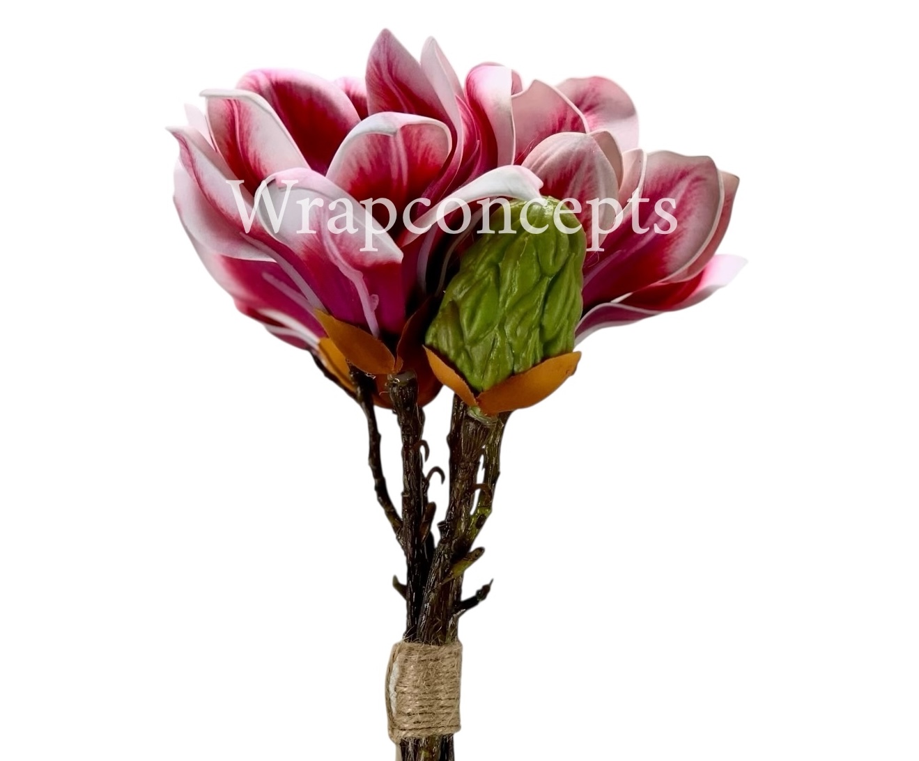Copy of Shaded Carnation Bunch Copy of Shaded Carnation Bunch