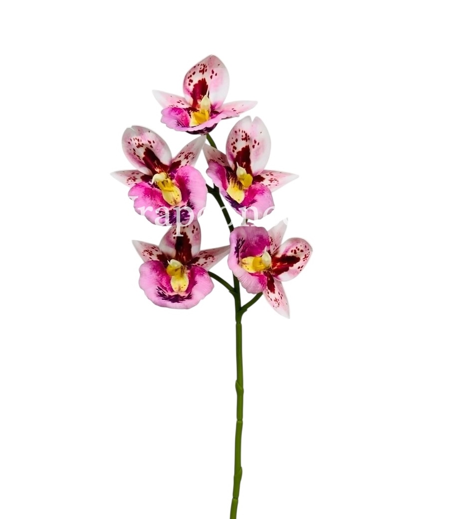 Orchid Sticks - Multicolor Orchid Sticks - Multicolor