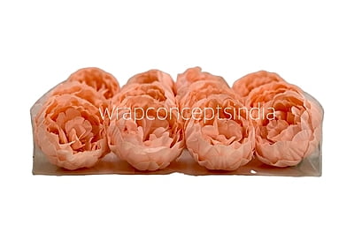 Melon Peony Melon Peony
