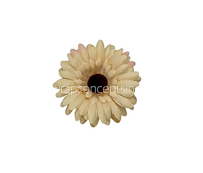 Creamish Yellow Sunflower